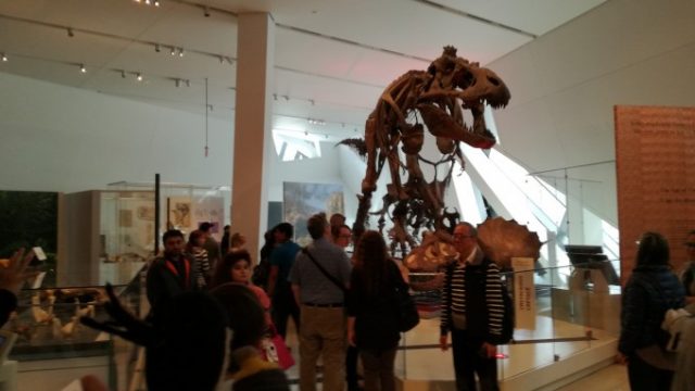 大迫力の恐竜の化石